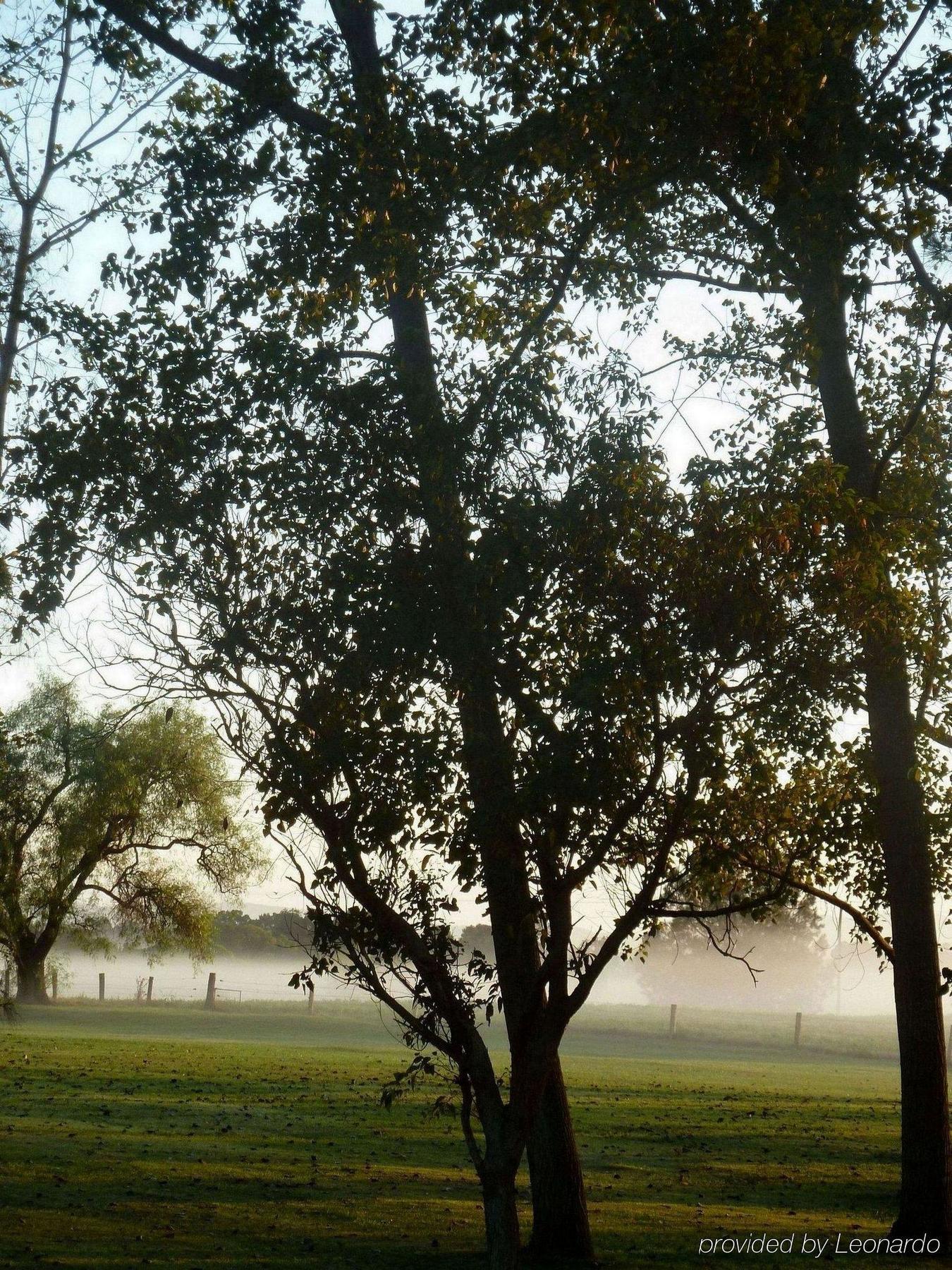 All Seasons Country Lodge Taree Zewnętrze zdjęcie