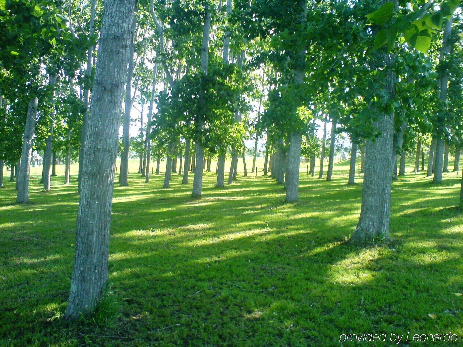 All Seasons Country Lodge Taree Zewnętrze zdjęcie